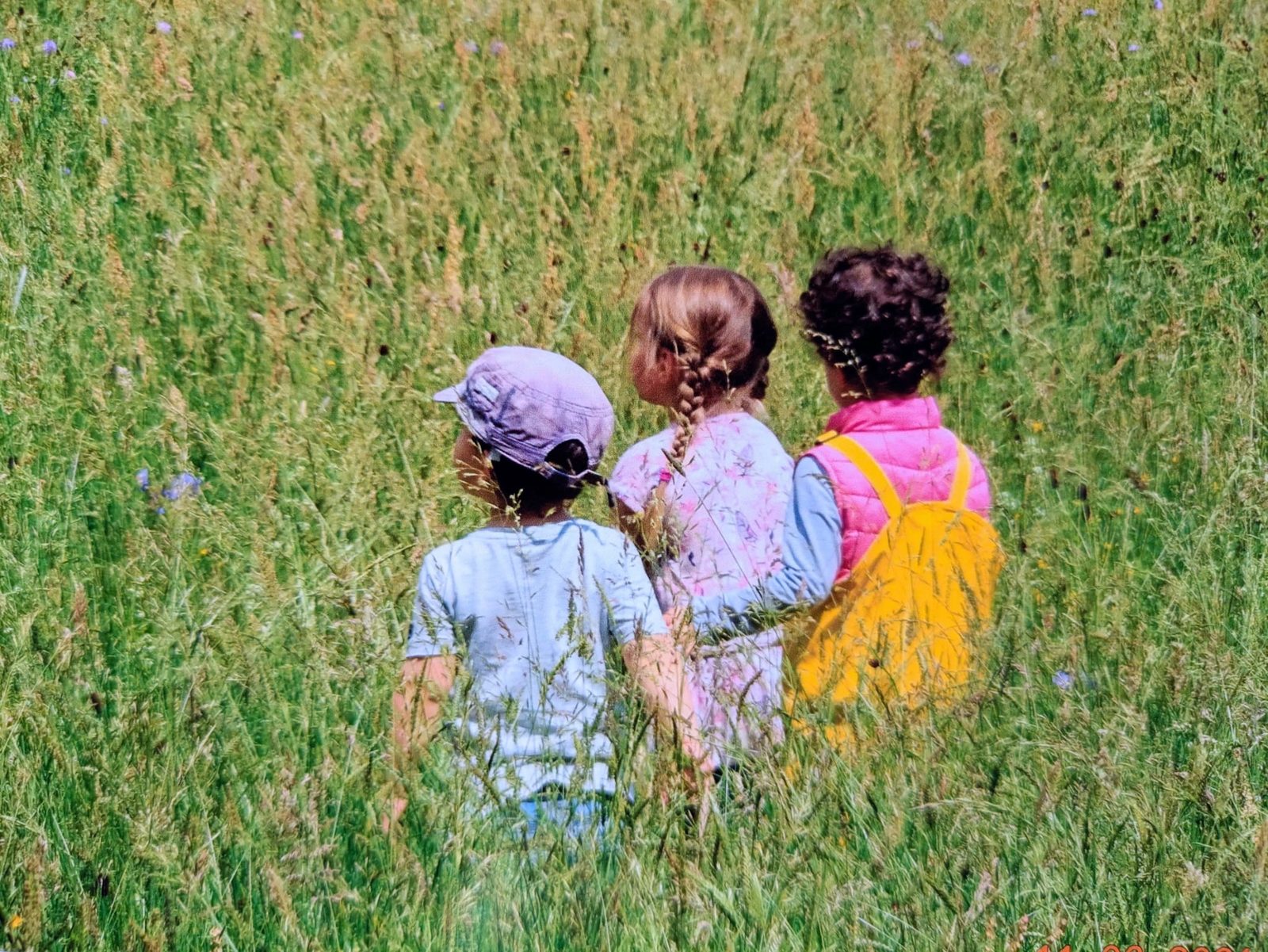 Kinder laufen durch eine hohe Wiese im Rosental